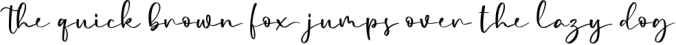 Femina - a Modern Calligraphy Font Font Preview