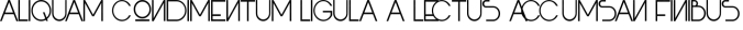 John Beer Font Preview