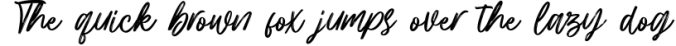 Hillbear - Handbrush Script Font Font Preview