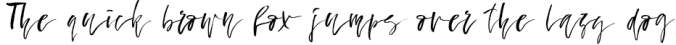 Fallen Angel - calligraphic font Font Preview