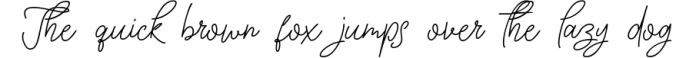 Ink Line | Modern Script Font Font Preview