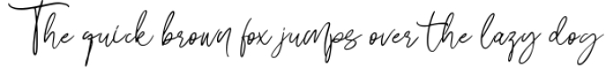 Bunggi Signatures Font Preview