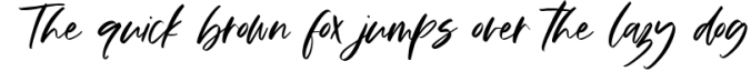 Happiness - A Handwritten Script Font Font Preview