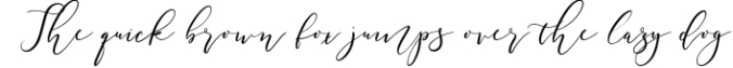 The Partylicious Festive Script Font Preview