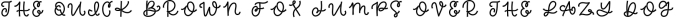 Brave - A Ribbon Monogram Font Font Preview