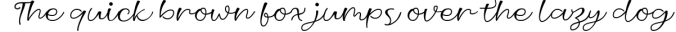 Skilleto Script Font Preview