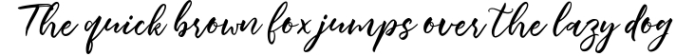 Summertime Script Font Preview