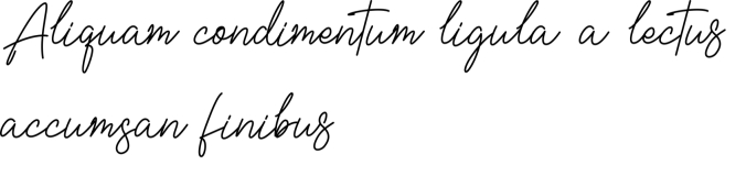 Bellisya Signature Font Preview