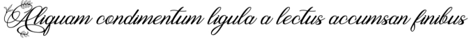 Ralgani Font Preview