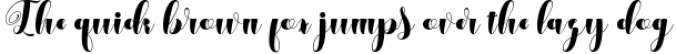 The Mini Bundle Font Preview