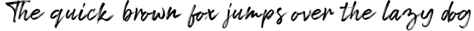 Tropical Summer  Font Combination Font Preview