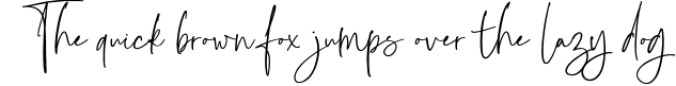 Bottomland - Family Signature Script Font Preview