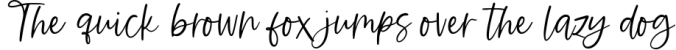Ambition - A Handwritten Script Font Font Preview