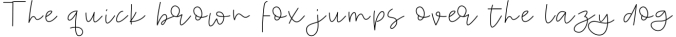 Absolutely - Handwritten Script Font Font Preview