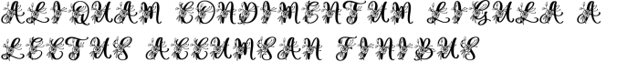 Gesya Font Preview