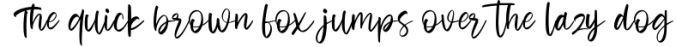 Alona - Handwritten Font Font Preview