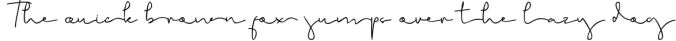 Brigham Signature Script Font Preview