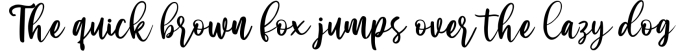 Sunday Spring - Chic Brush Font Font Preview