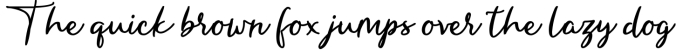 Hungaria - Sophisticated Script Font Font Preview