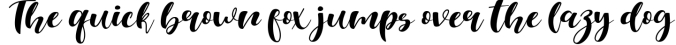 Selda Script Font Duo Font Preview