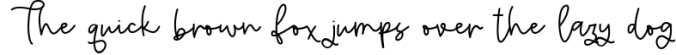 Amsterdam - A Handwritten Script Font Font Preview