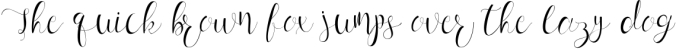 Anastasia:Stylish Calligraphy Script Font Preview