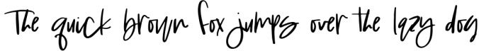 Washington - A Handwritten SVG Script Font Font Preview