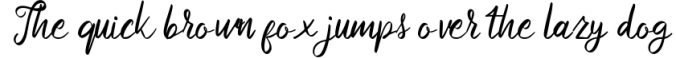 Delphina | Beauty Script Font Font Preview