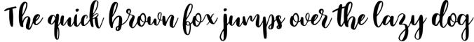 Delorean Script Font Preview