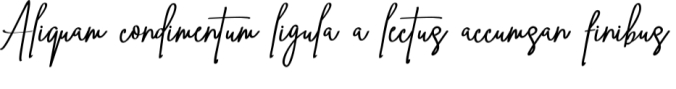 Ving Smith Font Preview