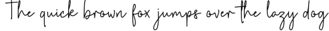 Jakarta Vise | Handwritten Script Font Font Preview