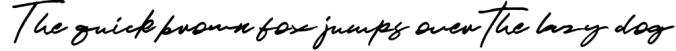 JV Signature SVG - Opentype SVG FONT Font Preview