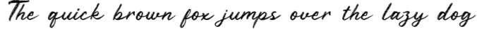 Rustyne - Rustic Script Font Font Preview