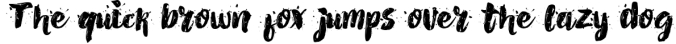 AlexDirte Brush Font Font Preview