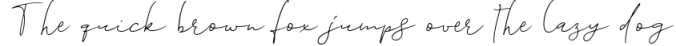 Destined Duo - Brush Sans & Signature Script Font Preview