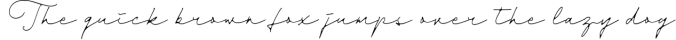 Dienilla -Luxury Handwritten- Font Preview