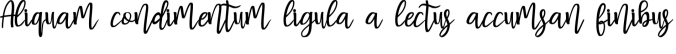 Basuhed Font Preview