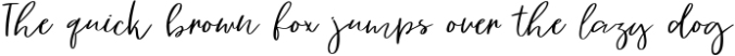 Vingiloth Multilingual Handwritten Script Font Family Font Preview
