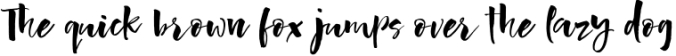 Butter Scotch Script Font Font Preview