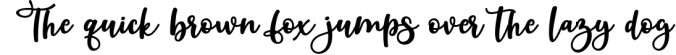 Beauty Dina | Beautiful Brush Script Font Font Preview