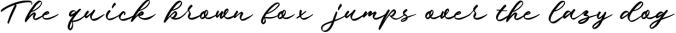 Nielson - Signature Script Font Preview