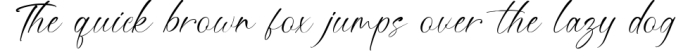 Ruttany- Modern Script Font Font Preview