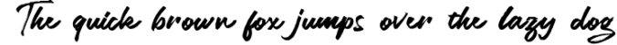 Legiante | Handwritten Fonts Font Preview
