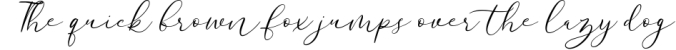 Wonderlust Calligraphy Modern Font Preview