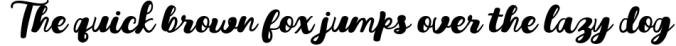 Youth Script Font Font Preview