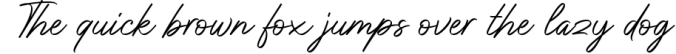 Don Carlitto - Elegant Signature Font Font Preview