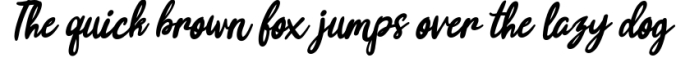 Joyfulness Script Font with Extras Font Preview