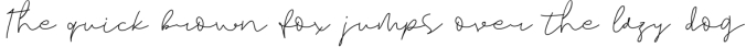 Mason - A Handwritten Signature Font Font Preview