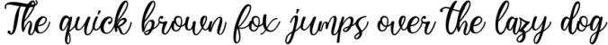 Virgiluna - Modern Calligraphy Font Font Preview