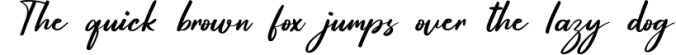 Remingtone Calligraphy Font Font Preview